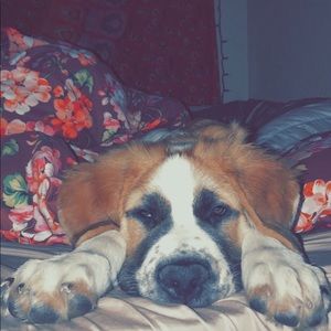 Meet your Posher, Cera